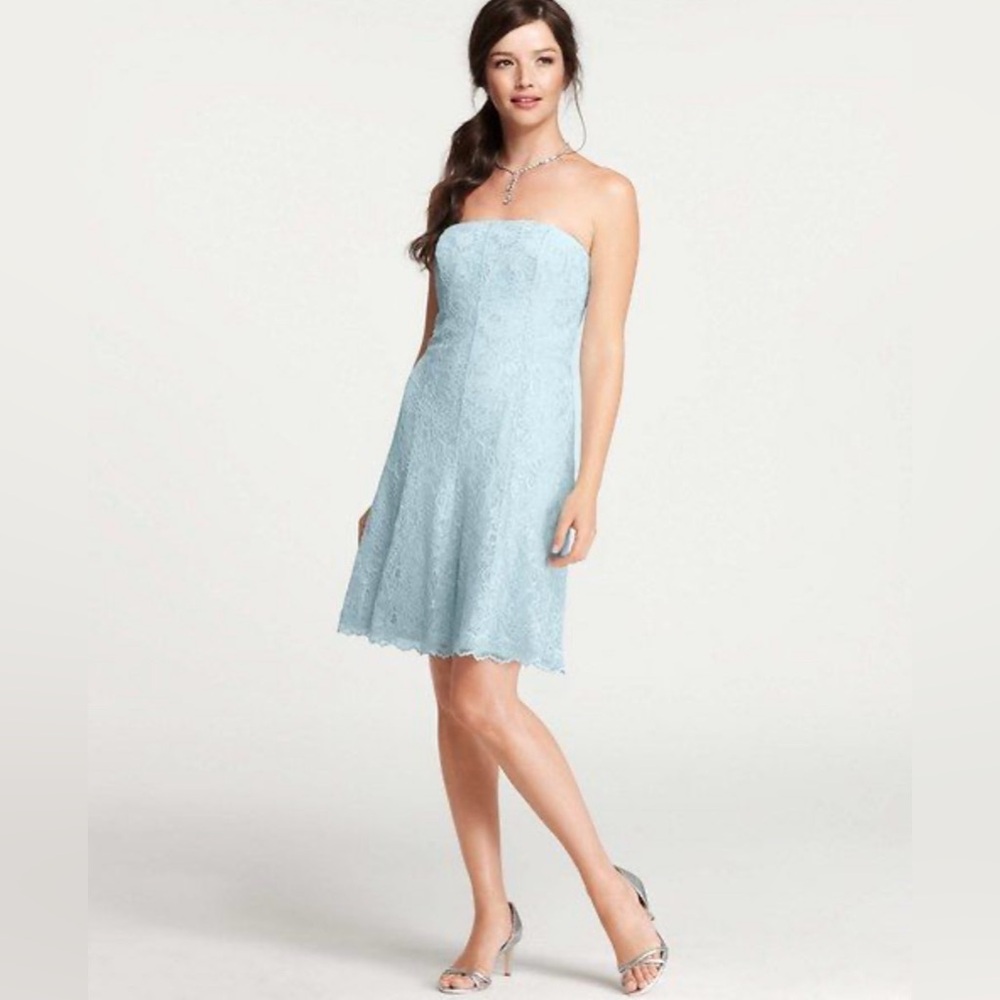 Ann Taylor Sky Blue Lace Dress
